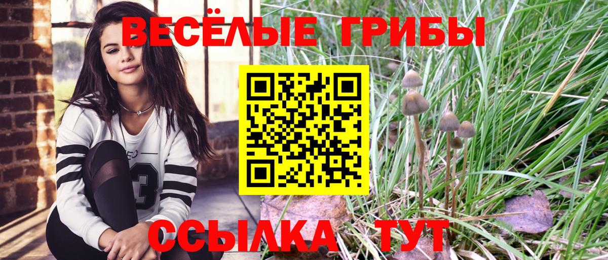 Галлюциногенные грибы Psilocybe  Вход с VPN  Омск 